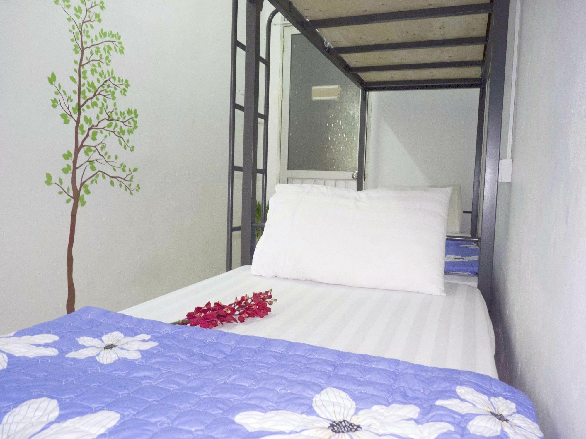 Daisy Hostel Hanoi Exterior foto